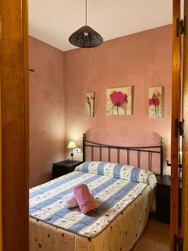 Casa Rural Puente Del Segura 엘체 데 라 시에라 외부 사진