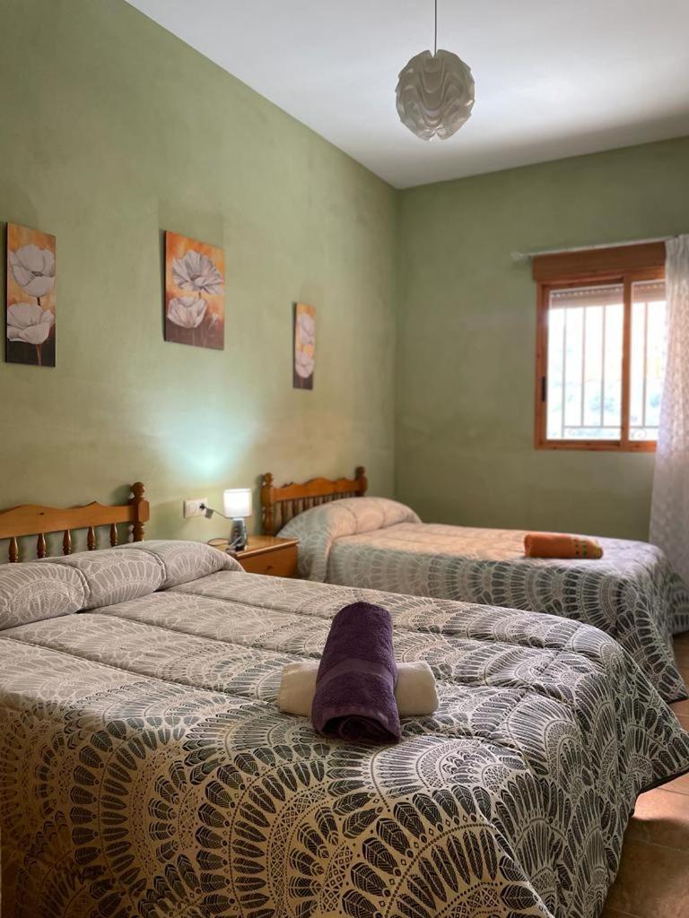 Casa Rural Puente Del Segura 엘체 데 라 시에라 외부 사진