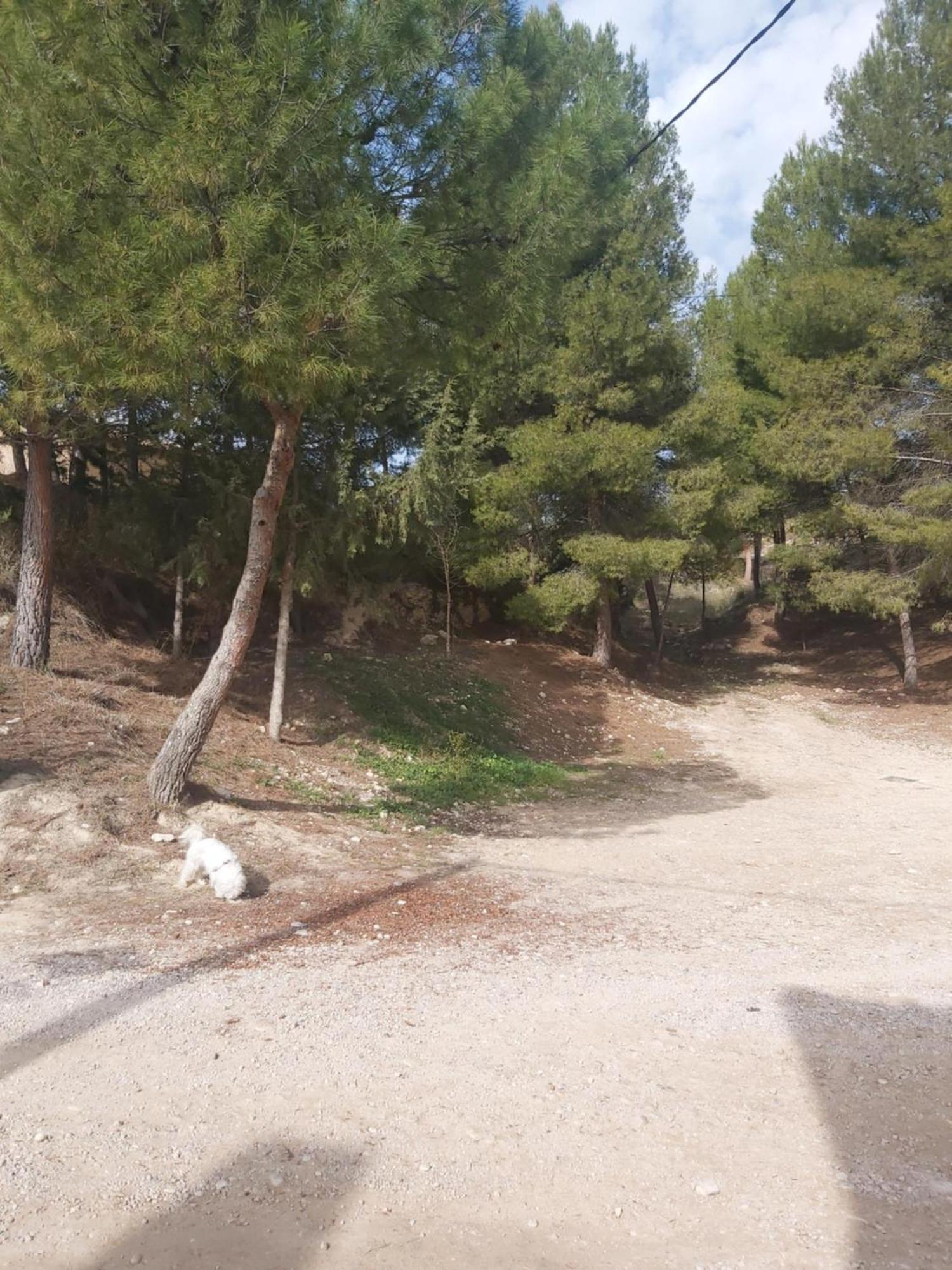Casa Rural Puente Del Segura 엘체 데 라 시에라 외부 사진